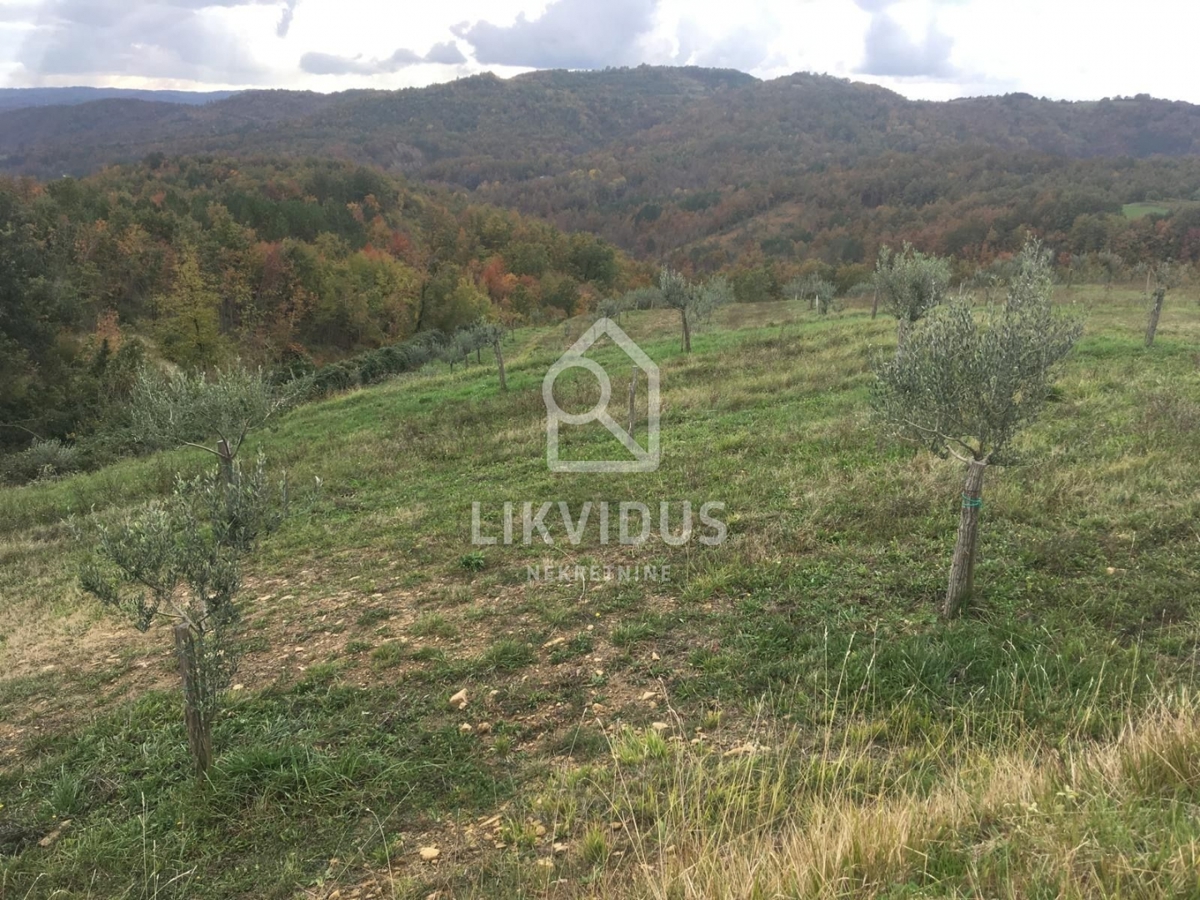 Terreno Draguć, Cerovlje, 120.000m2