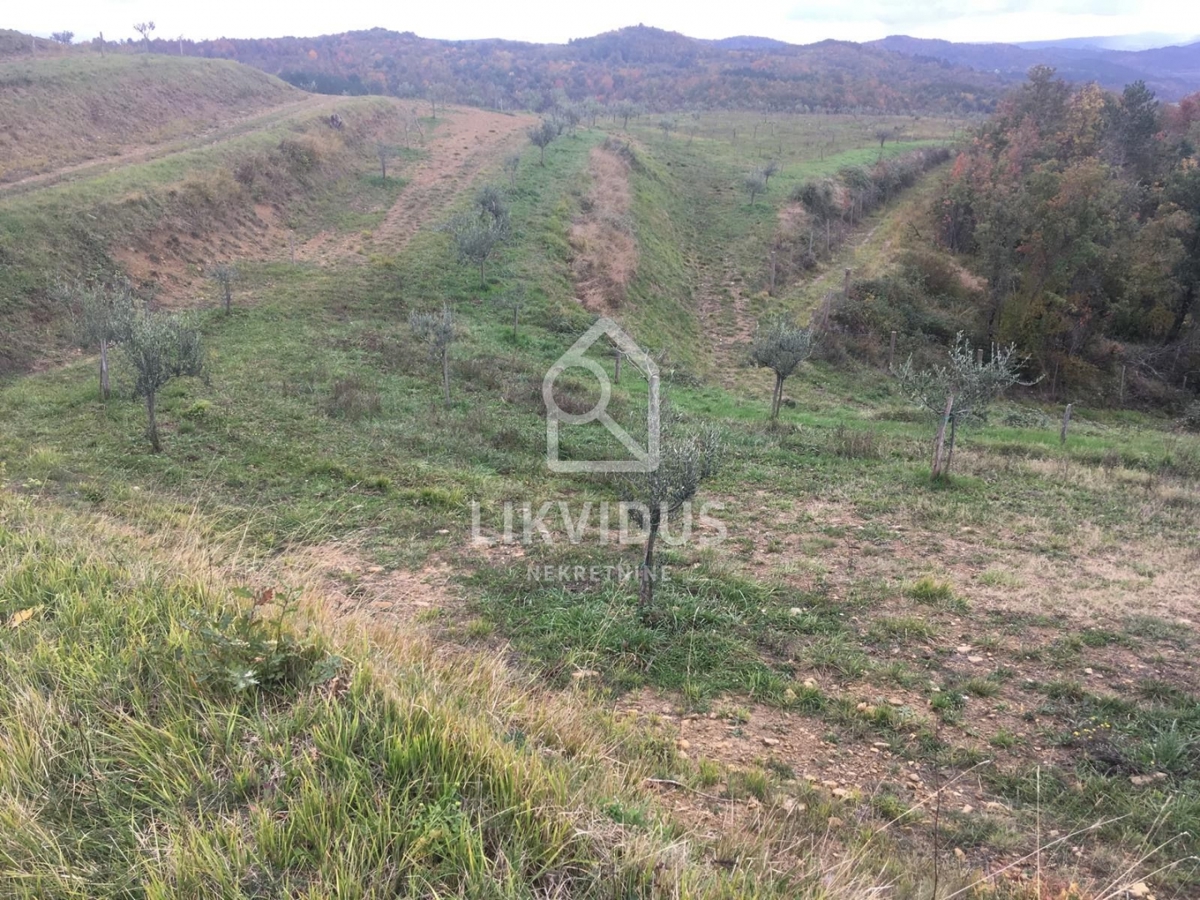 Terreno Draguć, Cerovlje, 120.000m2