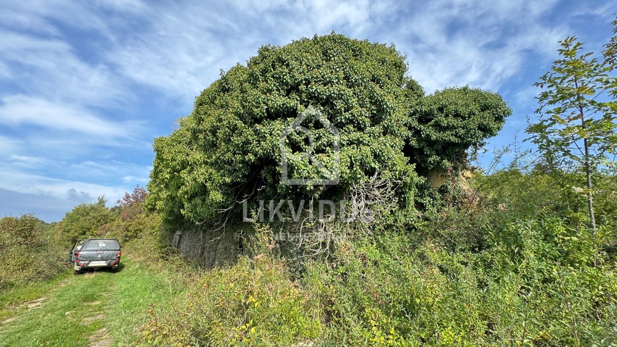 Terreno Draguć, Cerovlje, 120.000m2