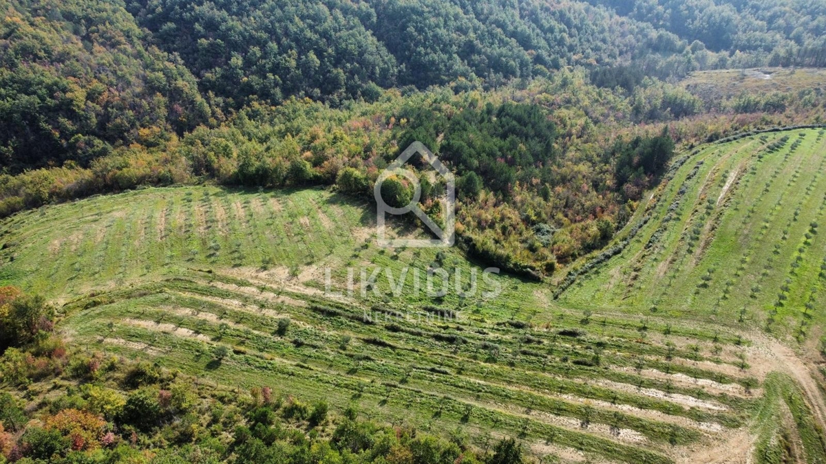 Terreno Draguć, Cerovlje, 120.000m2