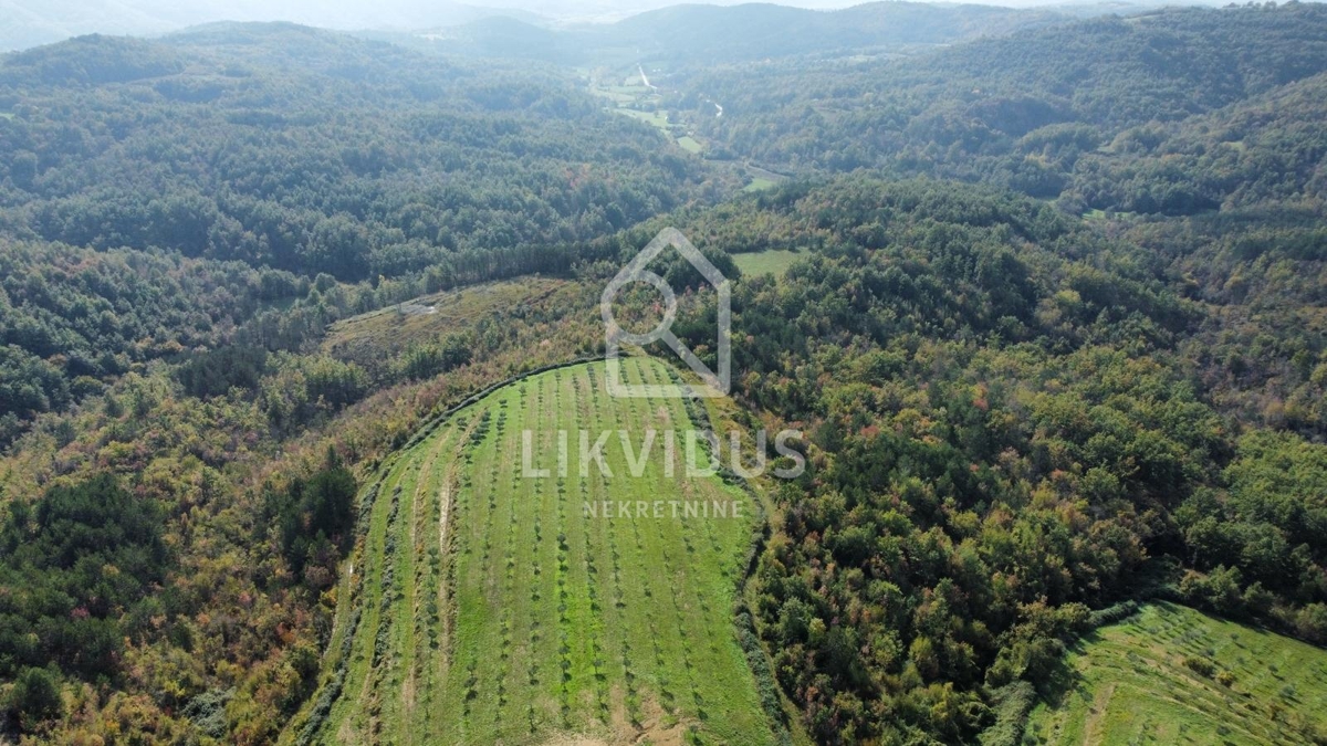 Terreno Draguć, Cerovlje, 120.000m2