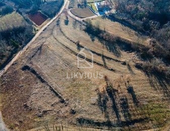 Terreno Trviž, Pazin - Okolica, 5.600m2