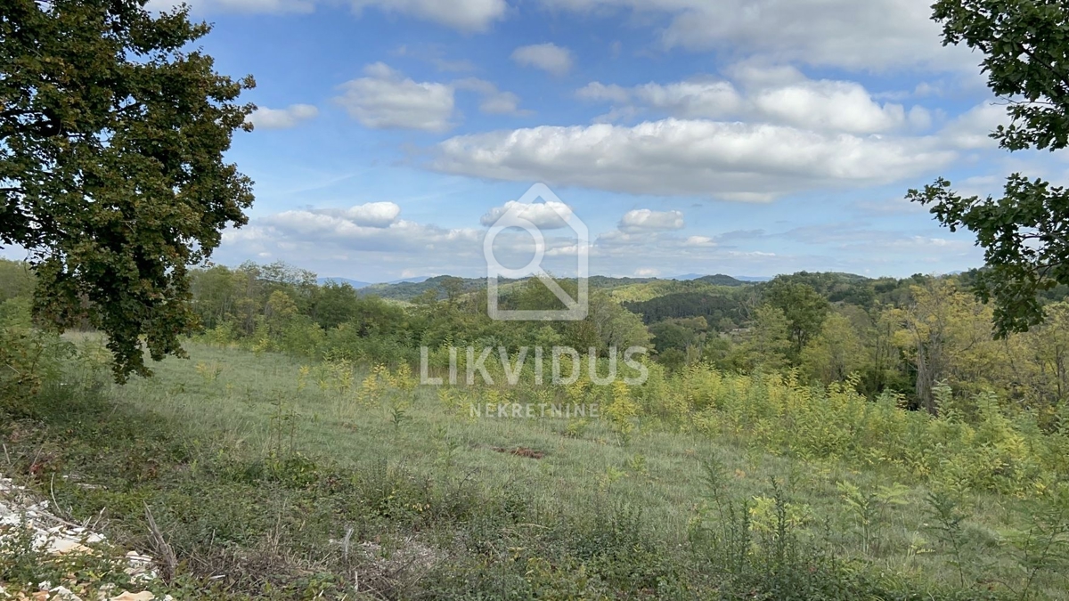 Terreno Trviž, Pazin - Okolica, 5.600m2
