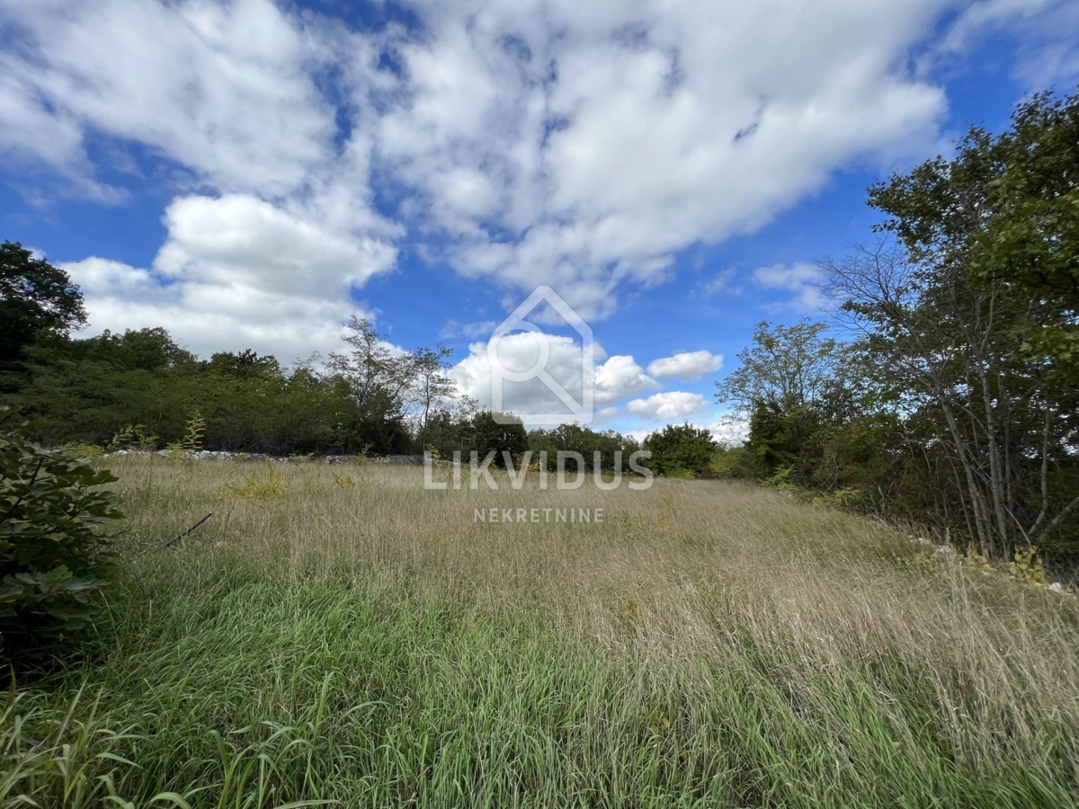 Terreno Trviž, Pazin - Okolica, 5.600m2