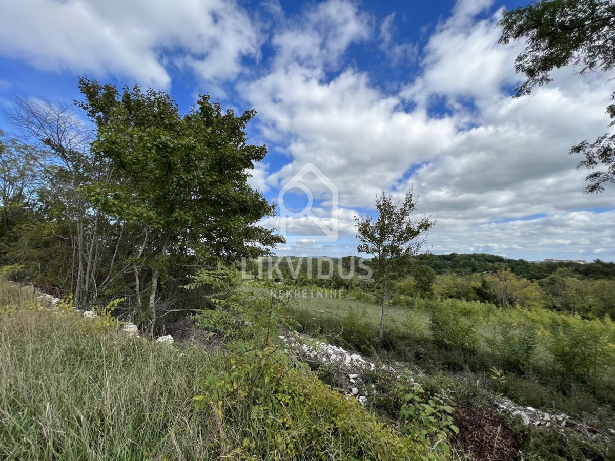Terreno Trviž, Pazin - Okolica, 5.600m2