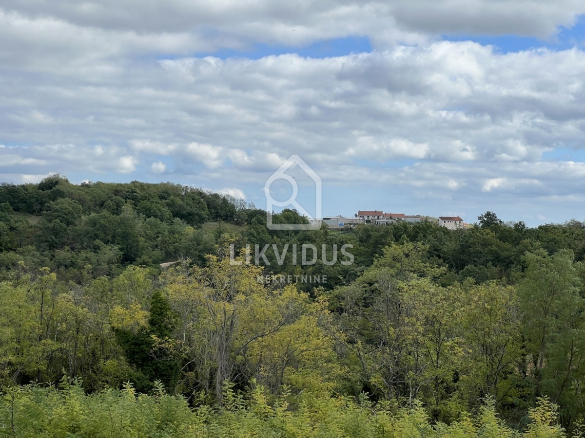 Terreno Trviž, Pazin - Okolica, 5.600m2