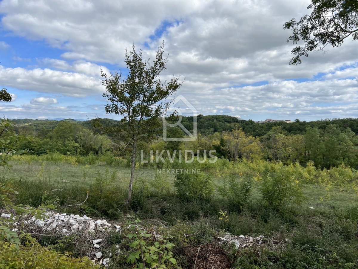 Terreno Trviž, Pazin - Okolica, 5.600m2