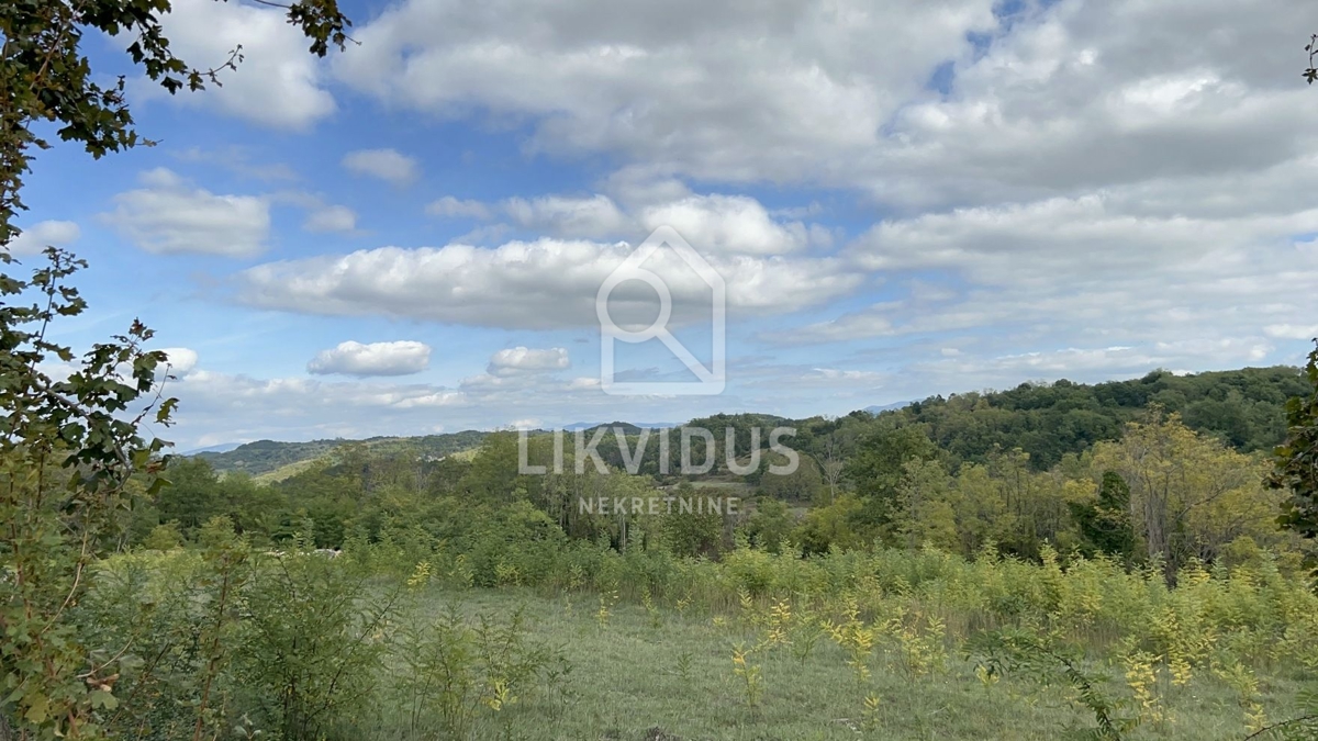 Terreno Trviž, Pazin - Okolica, 5.600m2
