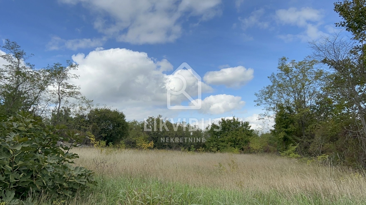 Terreno Trviž, Pazin - Okolica, 5.600m2
