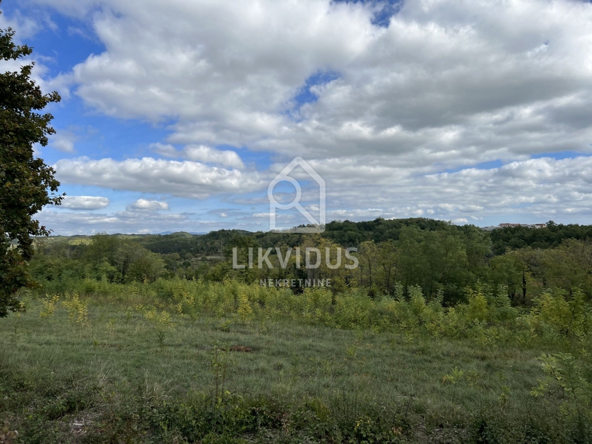 Terreno Trviž, Pazin - Okolica, 5.600m2