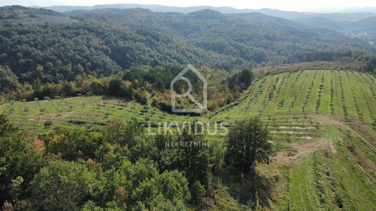 Casa Draguć, Cerovlje, 350m2