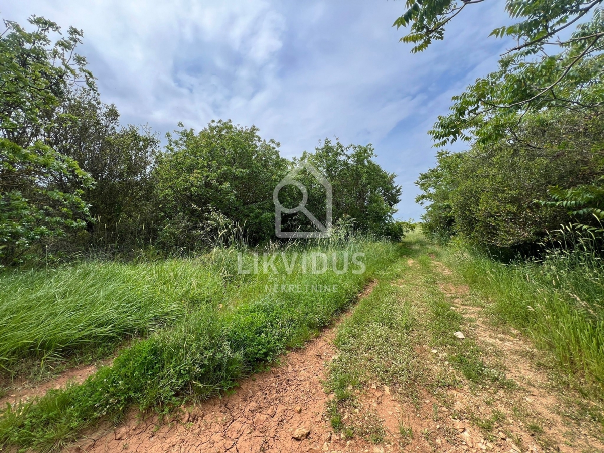 Terreno Medulin, 5.600m2