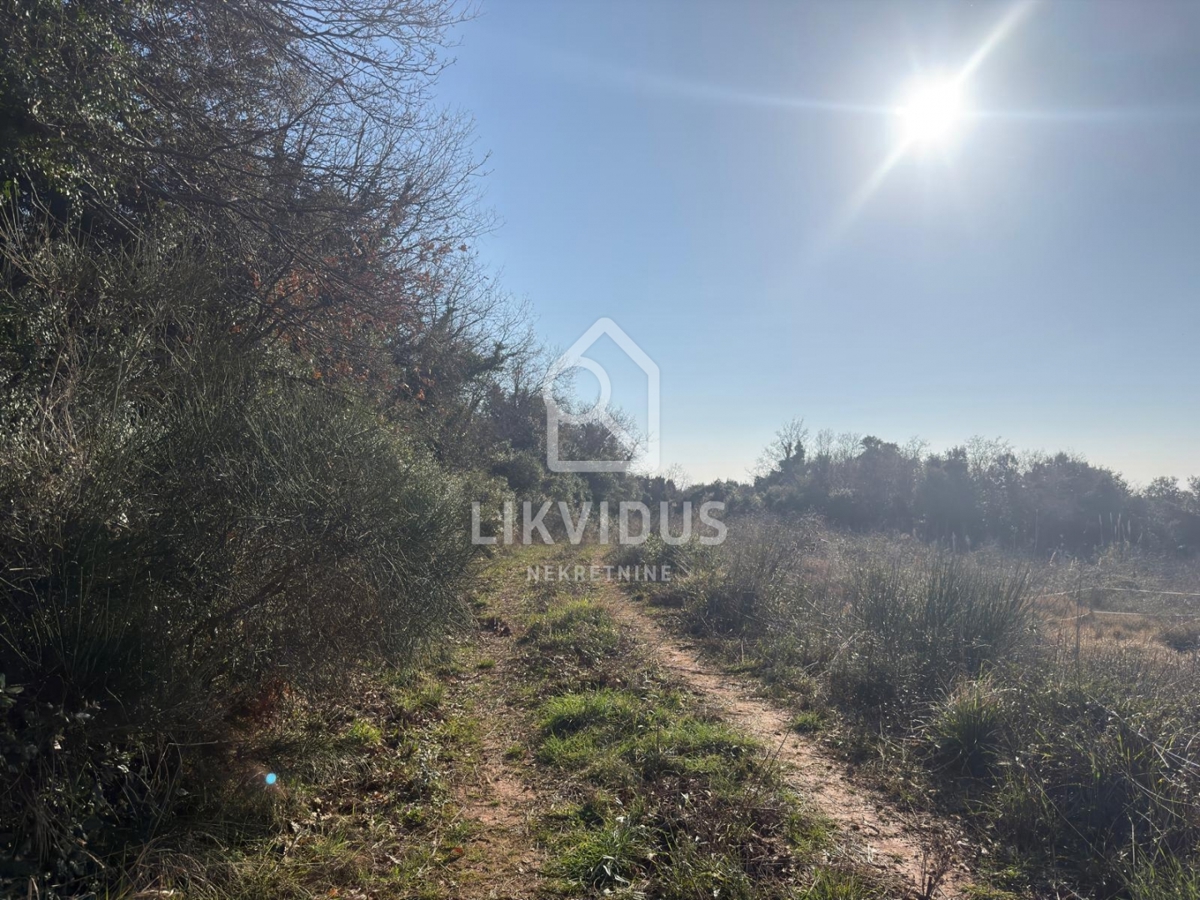 Terreno Medulin, 5.875m2