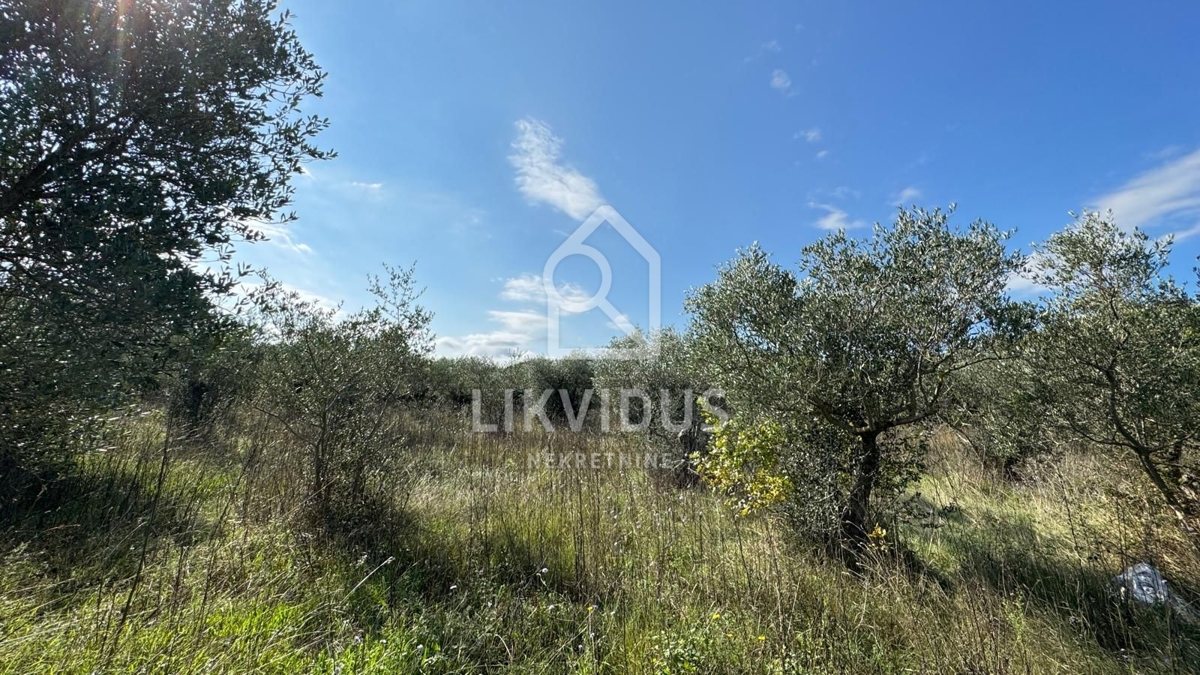 Terreno Bale, 1.928m2