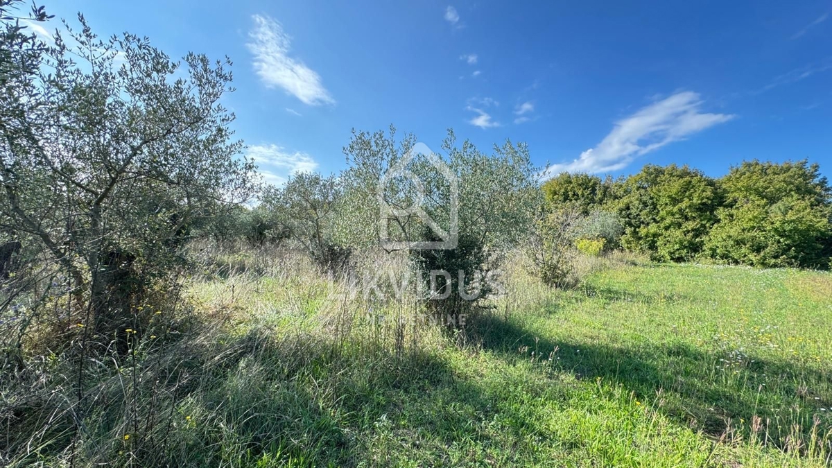 Terreno Bale, 1.928m2