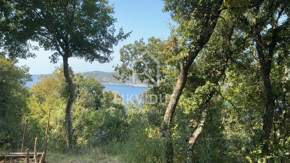 Terreno Rovinjsko Selo, Rovinj, 31.244m2