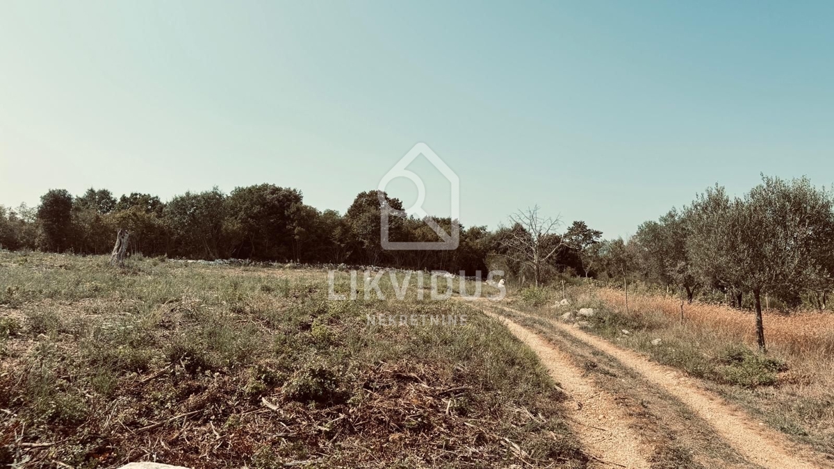 Terreno Rovinjsko Selo, Rovinj, 31.244m2