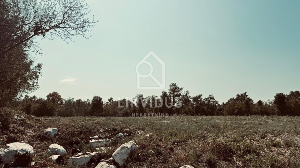 Terreno Rovinjsko Selo, Rovinj, 31.244m2