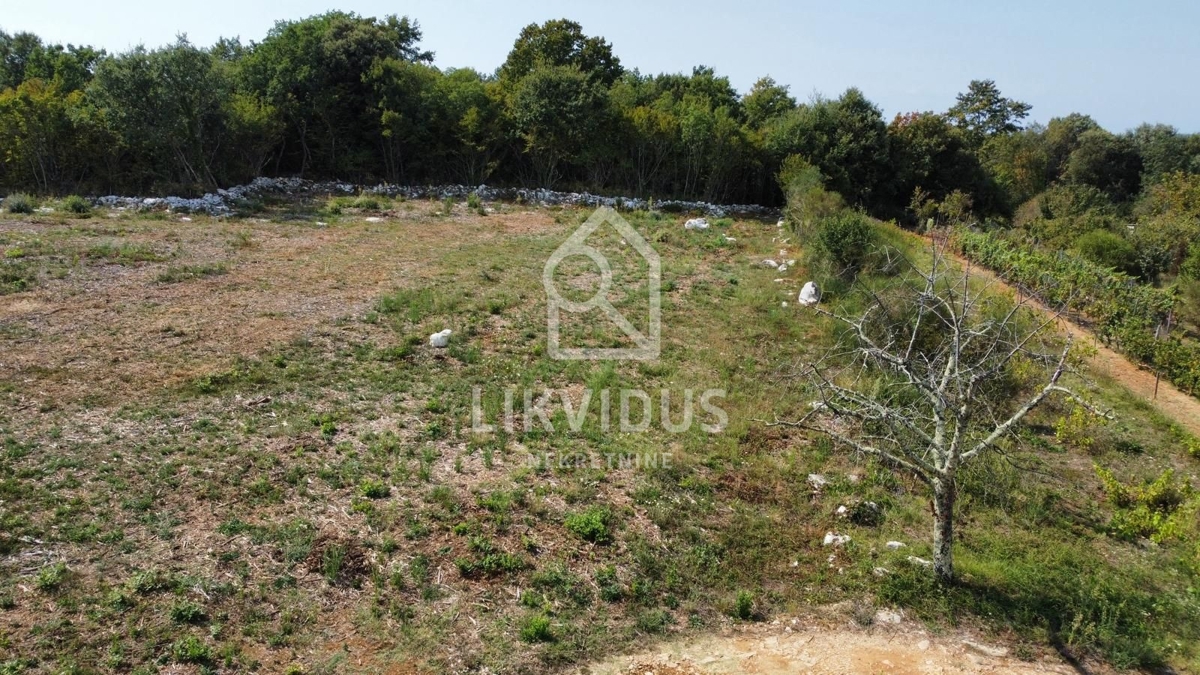 Terreno Rovinjsko Selo, Rovinj, 31.244m2