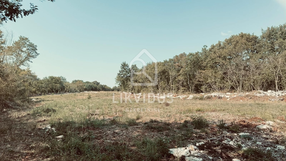 Terreno Rovinjsko Selo, Rovinj, 31.244m2