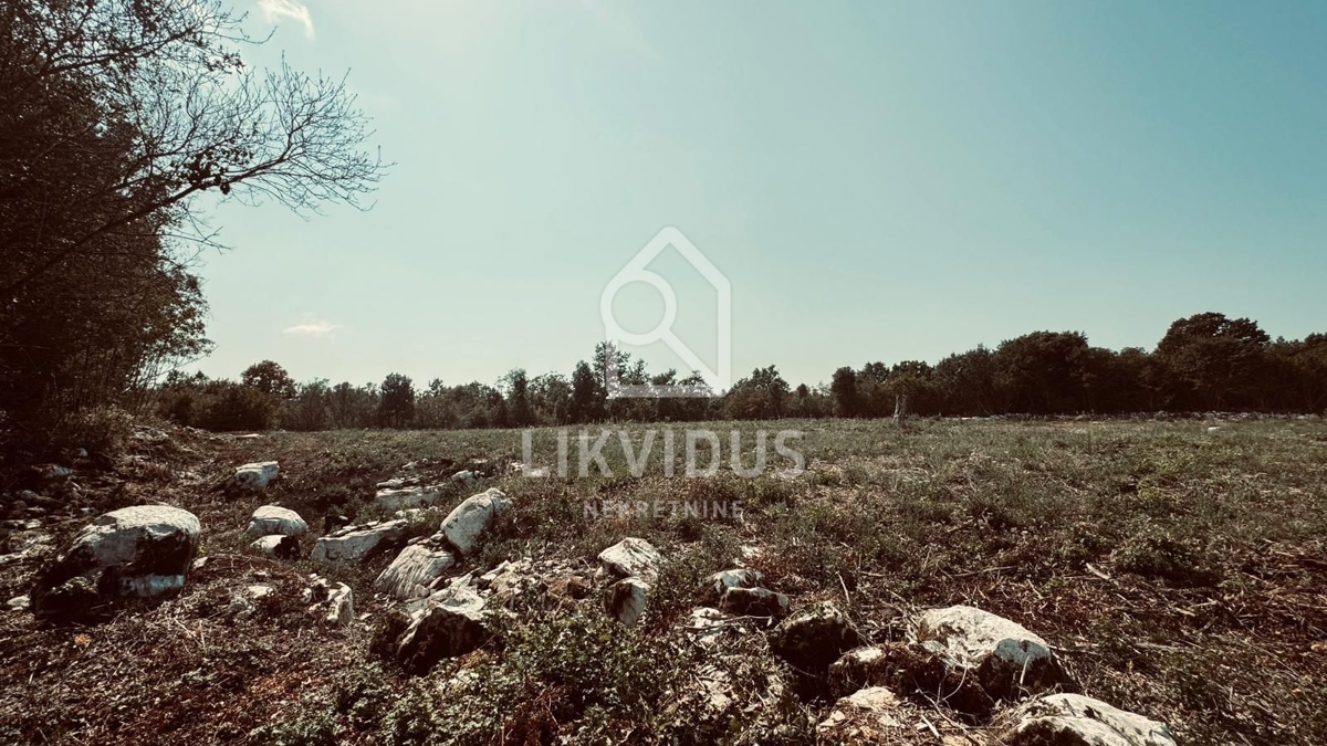 Terreno Rovinjsko Selo, Rovinj, 31.244m2