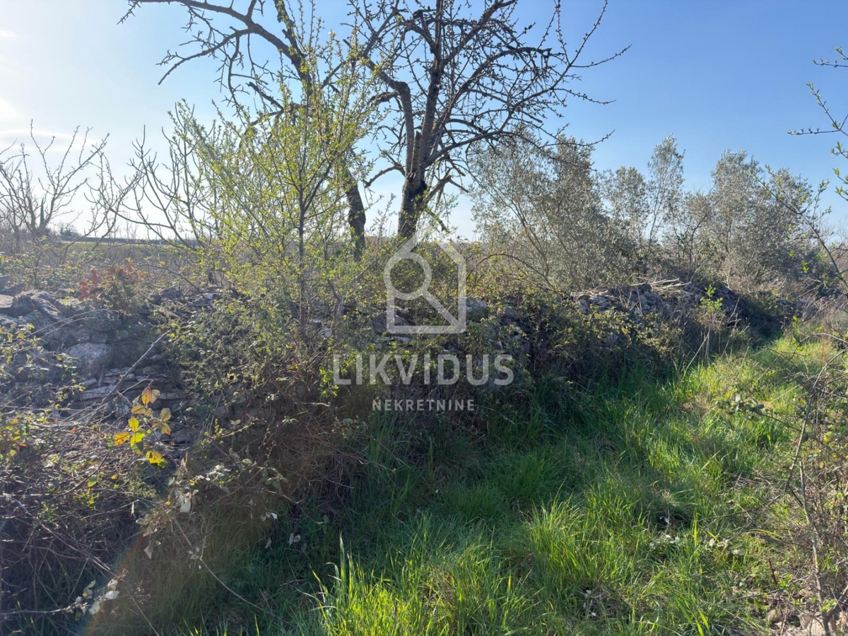  Terreno Agricolo, Vigneto, Dignano, 1.877 m²