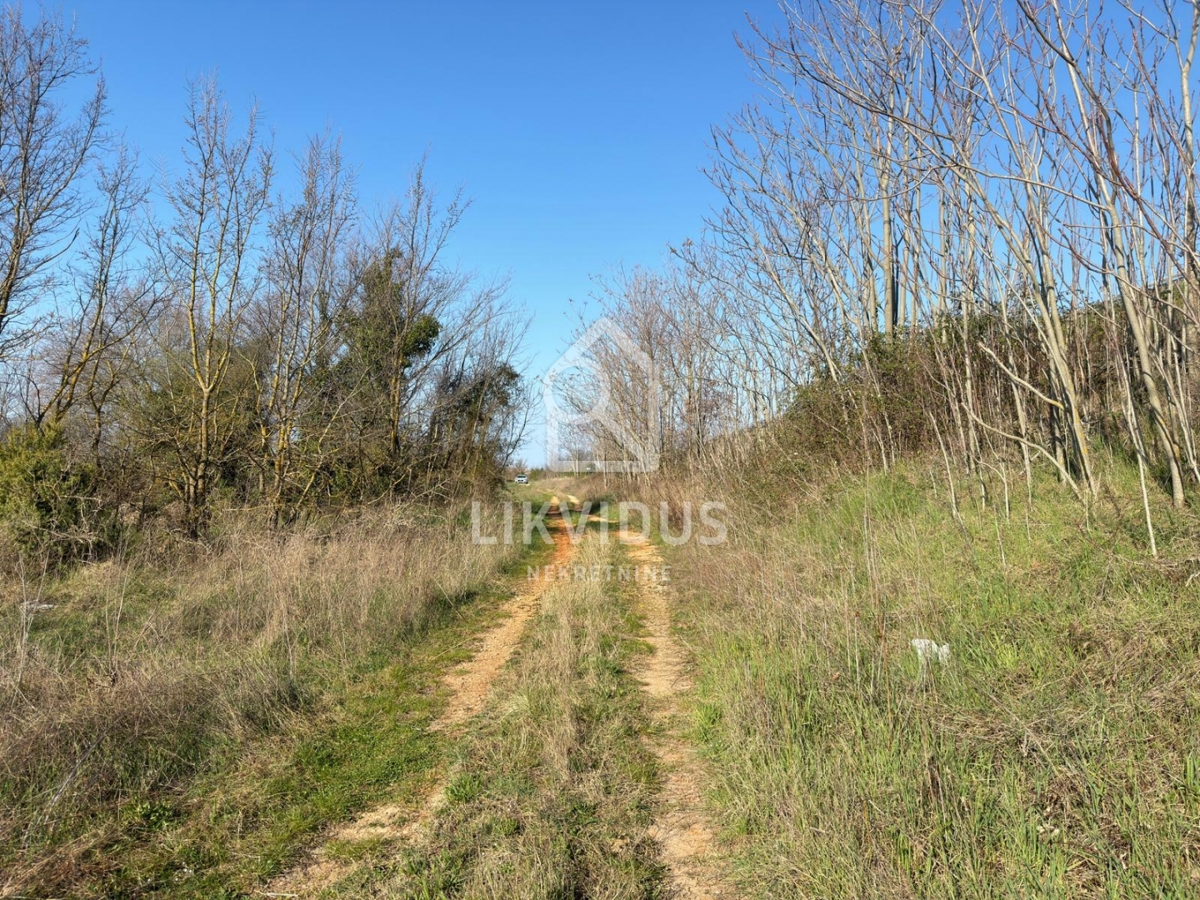  Terreno Agricolo, Vigneto, Dignano, 1.877 m²