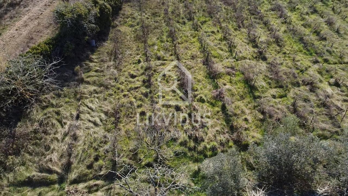  Terreno Agricolo, Vigneto, Dignano, 1.877 m²