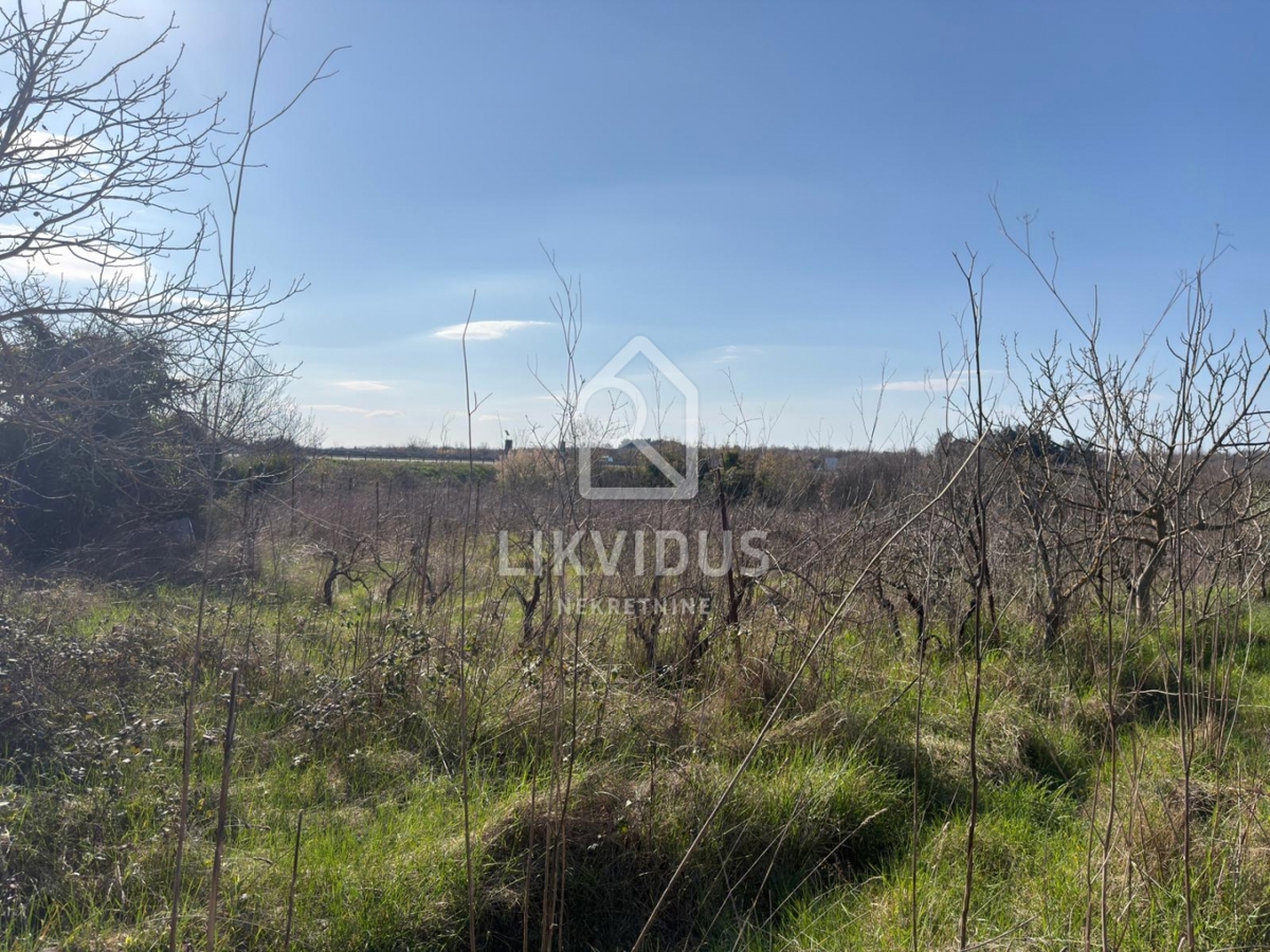  Terreno Agricolo, Vigneto, Dignano, 1.877 m²