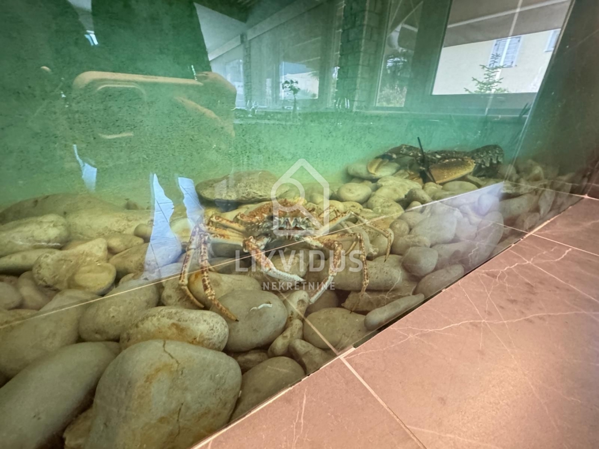 Casa Pješčana Uvala, Medulin, 424,25m2