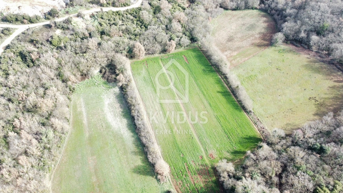 Terreno Galižana, Vodnjan, 6.907m2