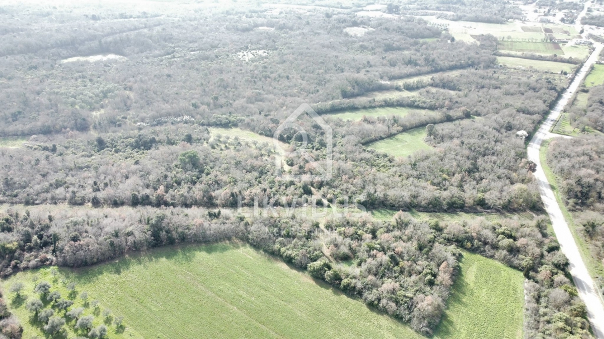 Terreno Galižana, Vodnjan, 6.907m2