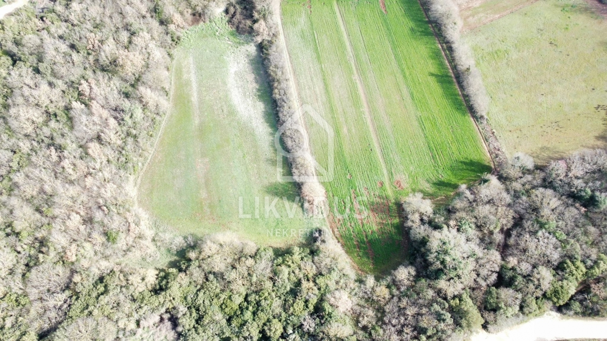 Terreno Galižana, Vodnjan, 6.907m2