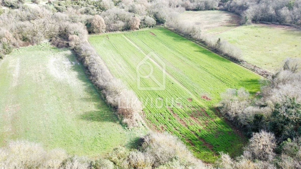 Terreno Galižana, Vodnjan, 6.907m2