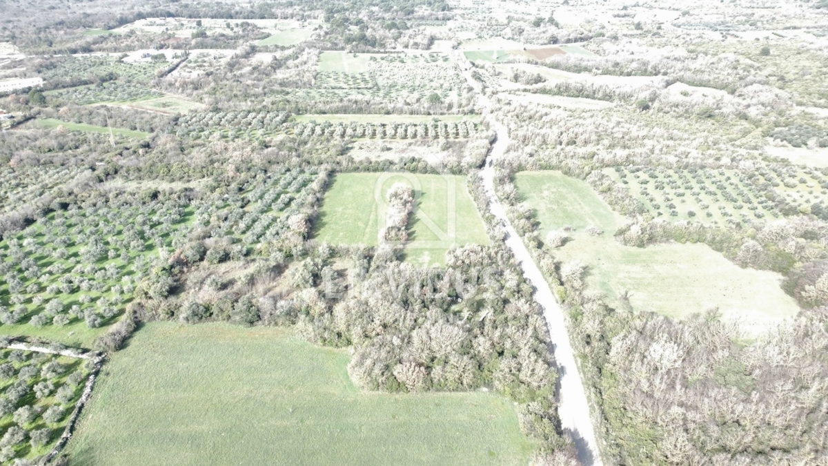 Terreno Galižana, Vodnjan, 6.907m2