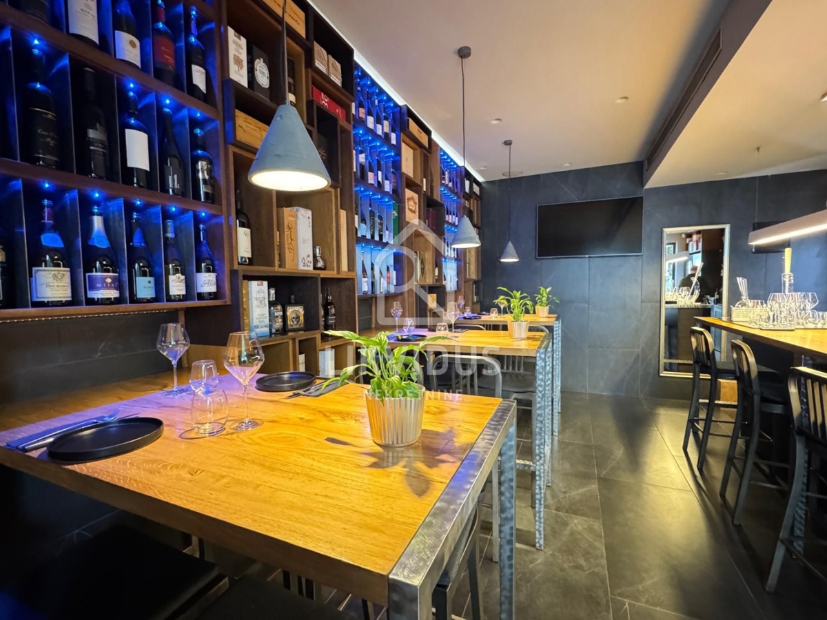 Commerciale Pješčana Uvala, Medulin, 424,25m2