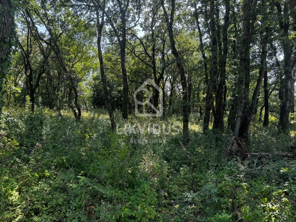 Terreno Burići, Kanfanar, 924m2