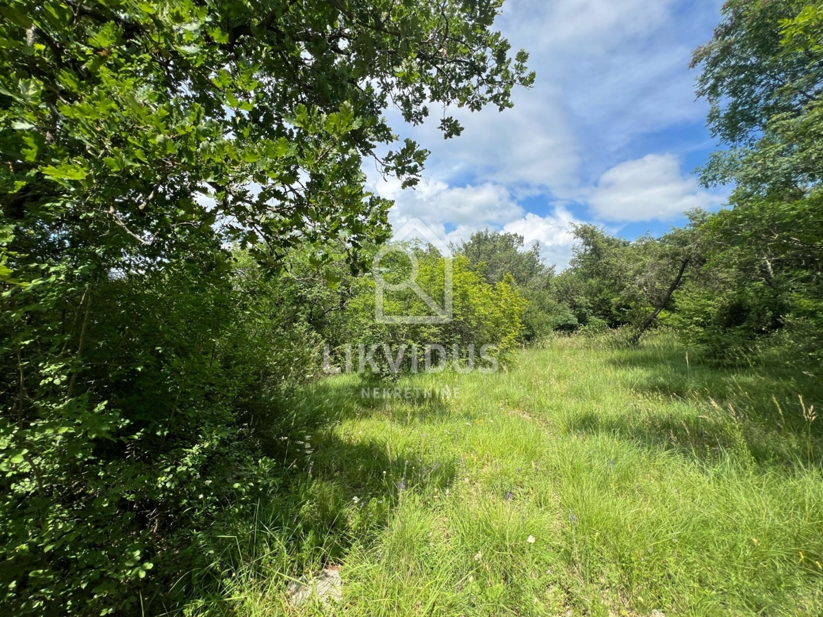 Terreno Krmed, Bale, 30.058m2