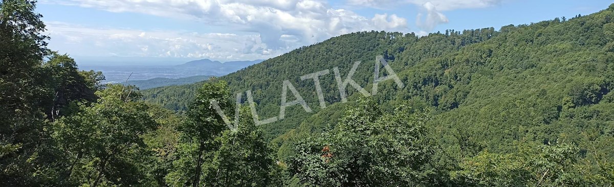 CASA DI LUSSO CON PISCINA E AMPIO GIARDINO – MLINOVI