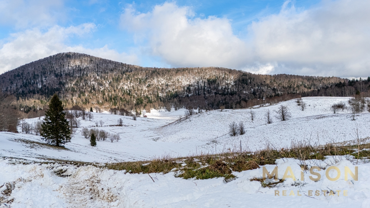 Terreno Begovo Razdolje, Mrkopalj, 3.023m2