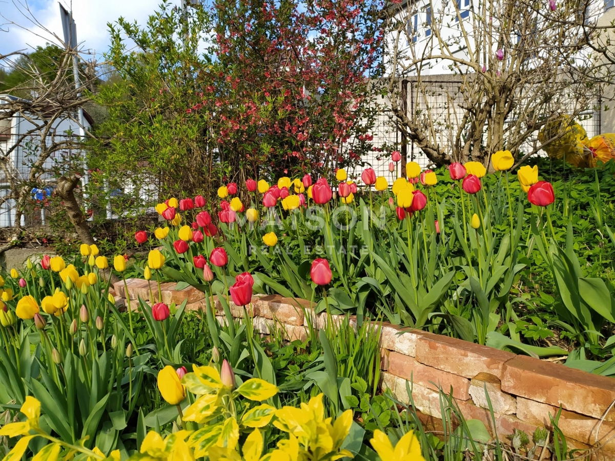 Casa Sveti Duh, Črnomerec, 250m2