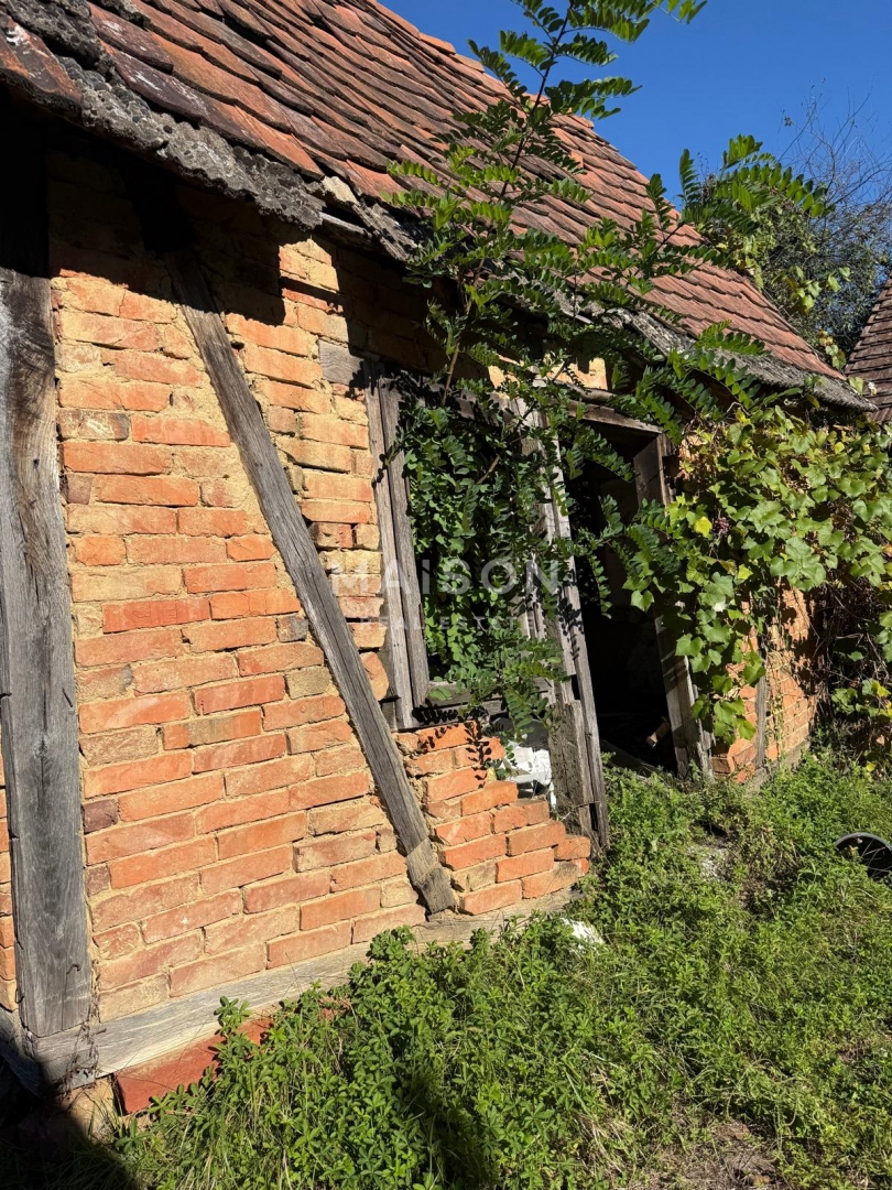 Terreno Pobjenik, Čazma, 8.126m2