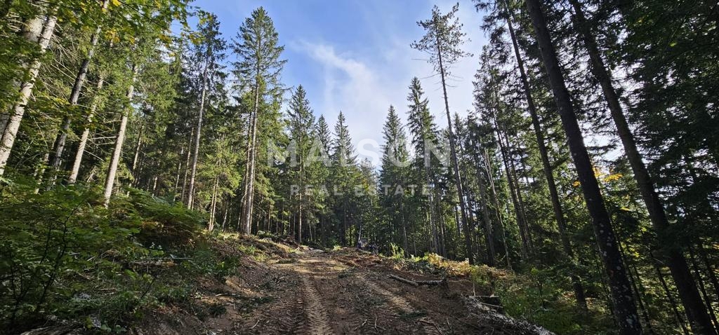 Terreno Ravna Gora, 4.991m2