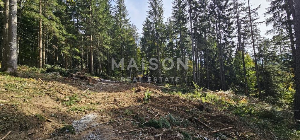 Terreno Ravna Gora, 4.991m2