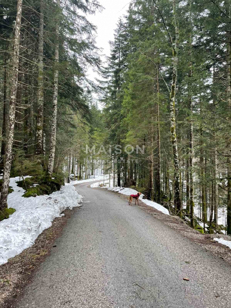 Terreno Ravna Gora, 4.991m2