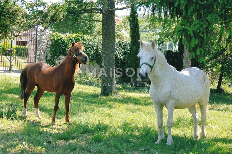 Commerciale Labin, 18.000m2