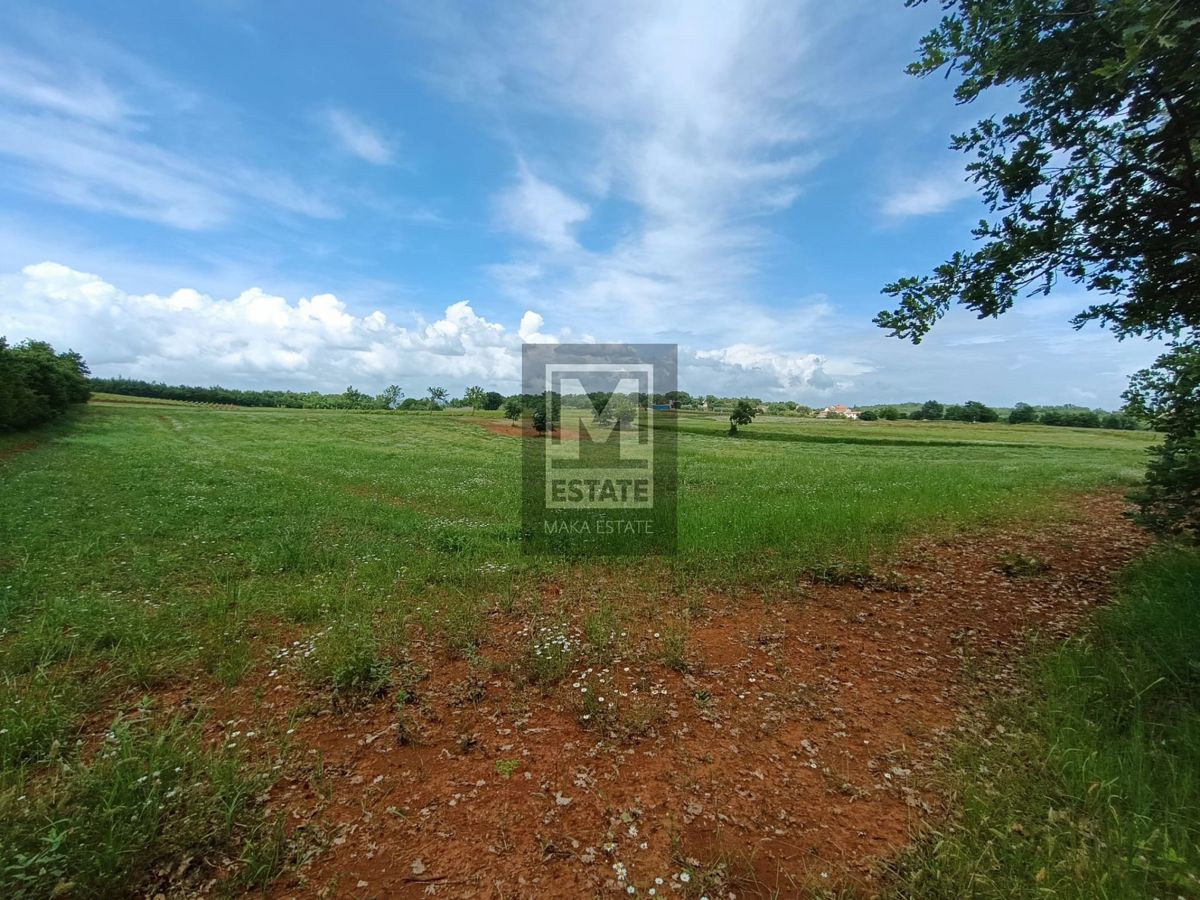 Parenzo, Visinada, Ampio terreno agricolo 