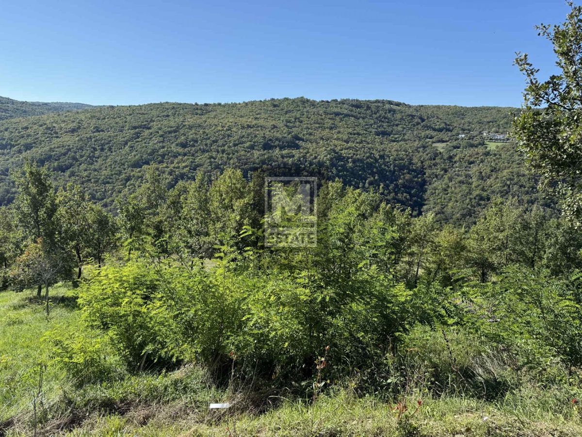 Montona, dintorni, terreno edificabile con splendida vista