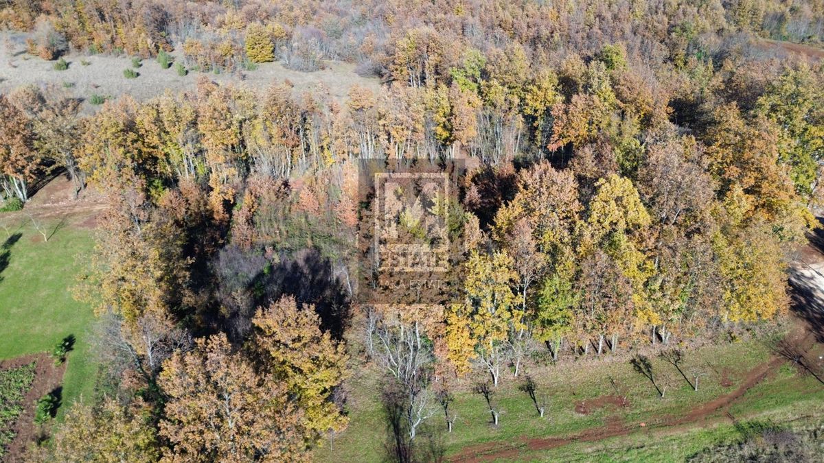 Istria, Gimino, Terreno edificabile e oggetti d'antiquariato da ristrutturare