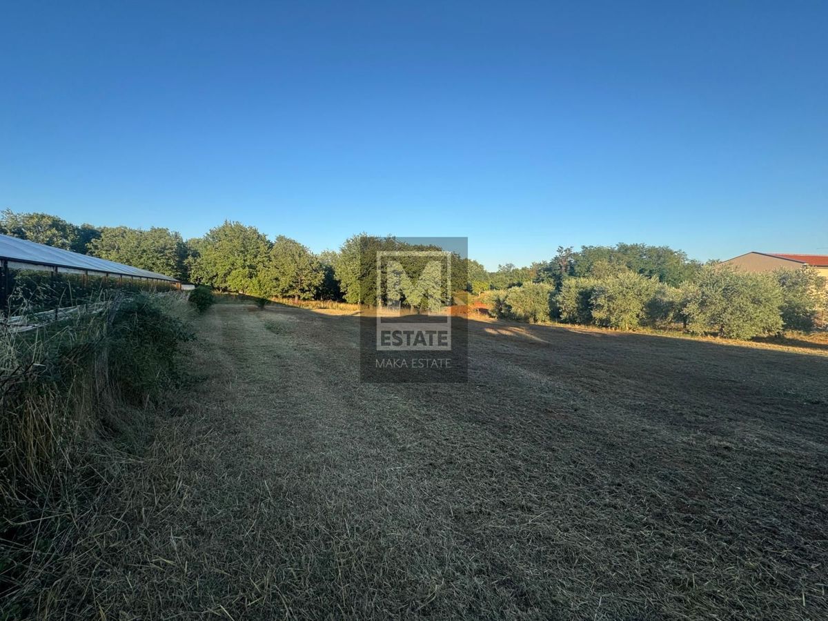 Villa con piscina a Kaštelir-Tadini!